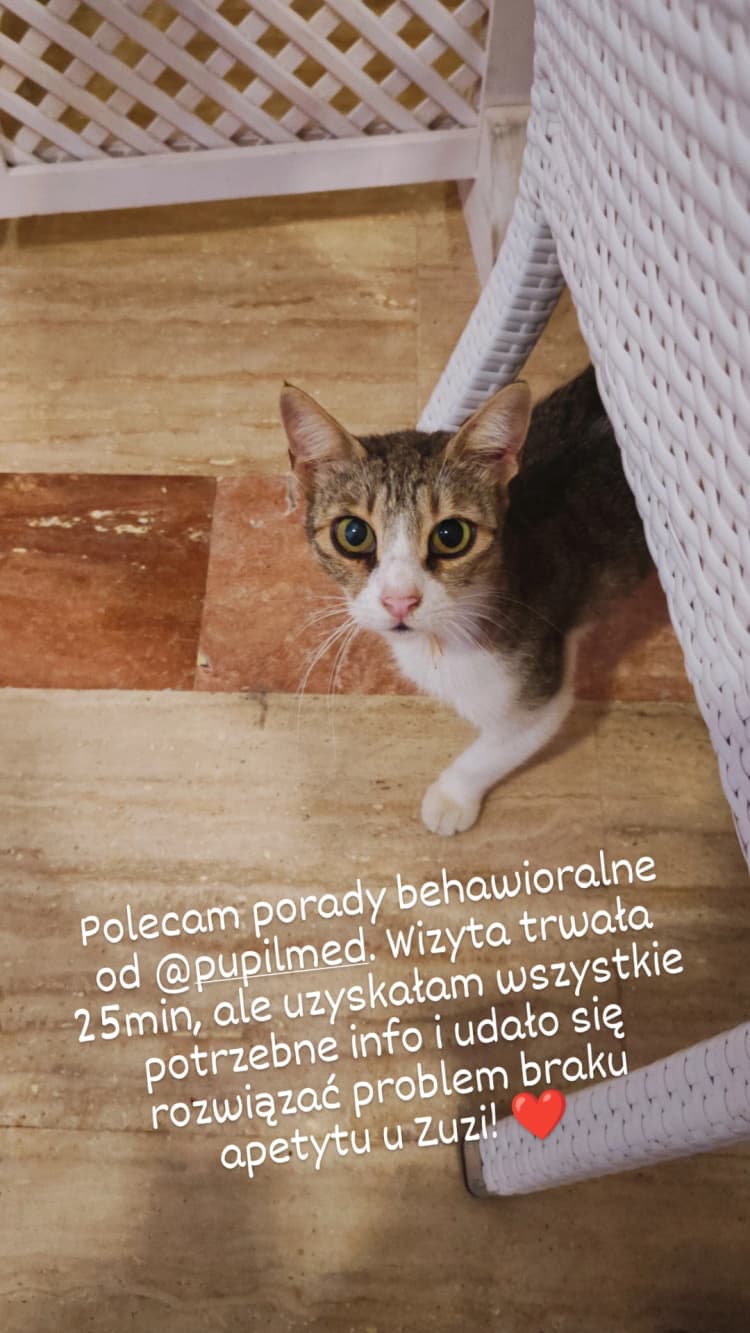 Stres pupila?